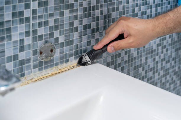 Best Mold Remediation  in Cleveland, NC