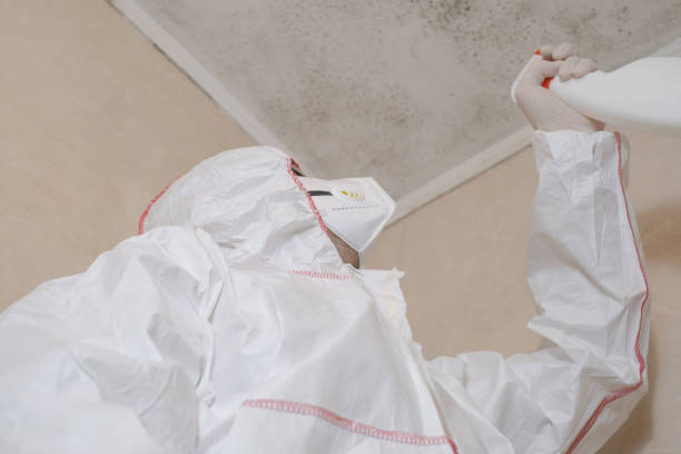 Best Same-Day Mold Removal  in Cleveland, NC